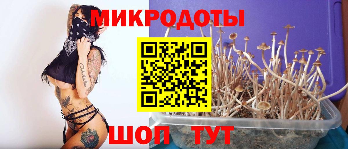 Галлюциногенные грибы GOLDEN TEACHER Ливны